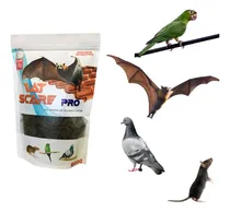 Comprar Afasta Espanta Repele Morcego Não Mata Não É Veneno