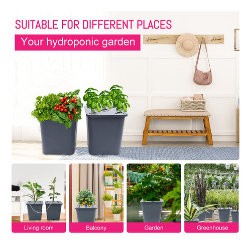 Kit 2 Cubos Hidropónicos Dwc Con Bomba Y Bandeja Mmg