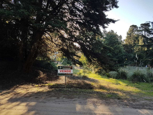 Imagen 1 de 6 de Lotes Linderos De 350m2 Venden Juntos /separados-oportunidad