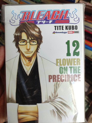 Bleach 12 - Manga Panini Original - En Español 