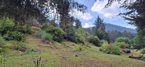 4.2 Hectáreas Con Manantial A 40 Minutos De Valle