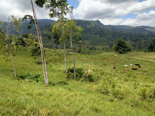 Excelente Finca En Chiguara Mérida
