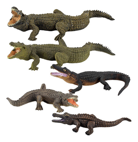 Modelo De Cocodrilo 5 Piezas