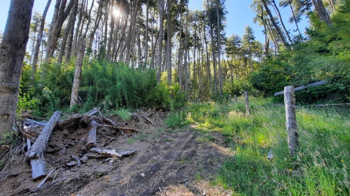 Imagen 8 de 22 de Venta Lote 1700 M2 En Bosque Villa La Angostura
