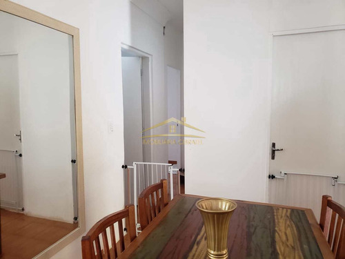 Imagem 8 de 19 de Chácara Com 4 Dorms, Bopiranga, Itanhaém - R$ 420 Mil, Cod: 1523 - V1523