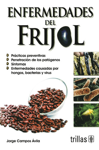 Enfermedades Del Frijol 614qs