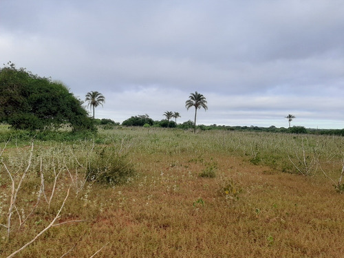 Imagem 9 de 10 de Propiedade Para Criar E Para Agricultura