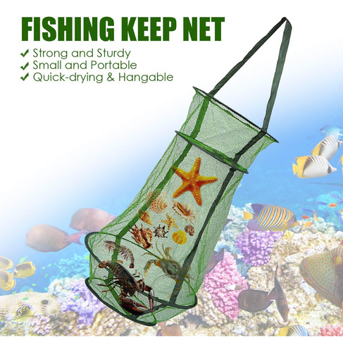 Jaula Plegable Para Peces Trampa De Malla De Plegable Fácil