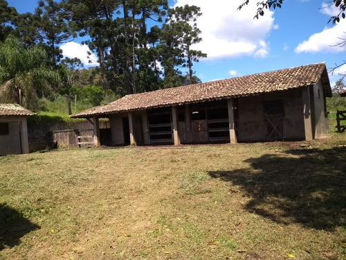 Imagem 29 de 30 de Sitio - 04816 - 33877210