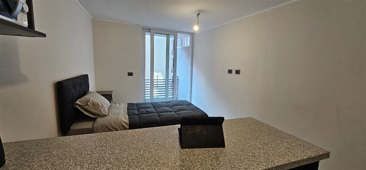 Imagen 1 de 20 de Departamento En Venta De 1 Dorm. En Santiago