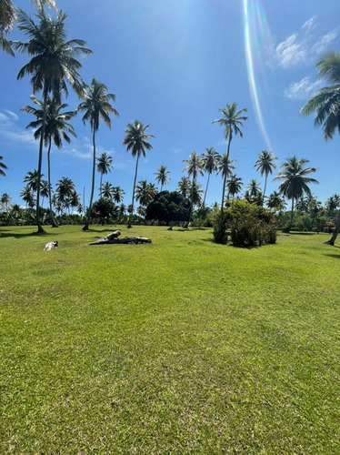 Te Vendo Excelente Terreno En Arroyo Barril De Samaná 