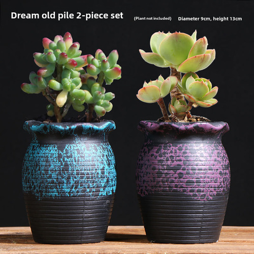 Maceta Para Plantas Suculentas, Creativa, De Cerámica