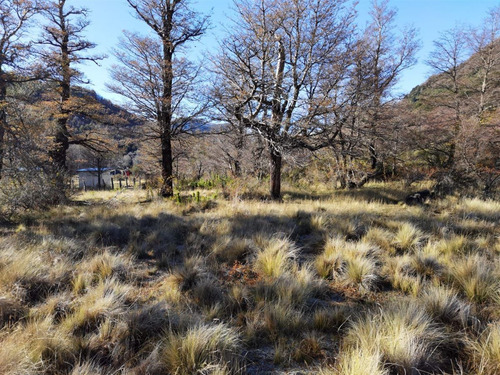 Terreno 5.000 M2, Sector Caracoles, Malalcahuello