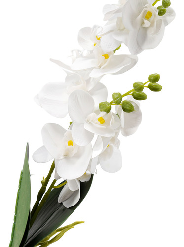 Decorações Artificiais Falsas De Orquídeas, Flores De Orquíd