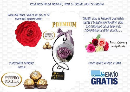 Rosa Eterna Premium + Burbuja Cristal + Base + Envio | Envío gratis