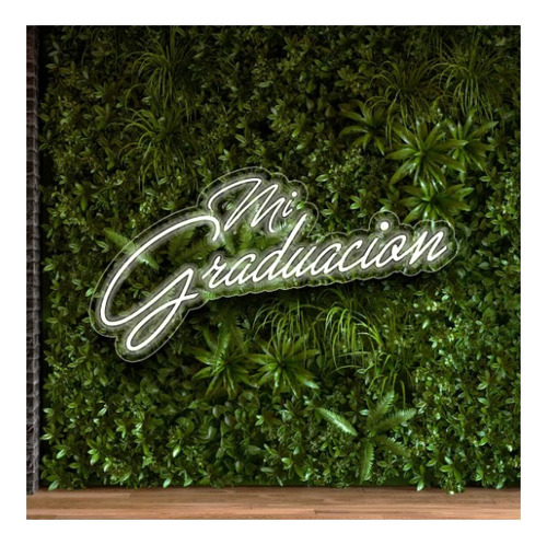 Letrero Led Neon Mi Graduacion Palabra 100*40cm Luminoso