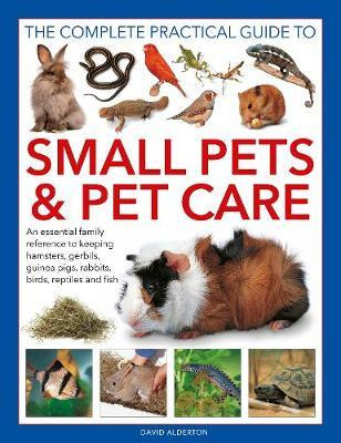 Libro Small Pets And Pet Care, The Complete Practical Gui...