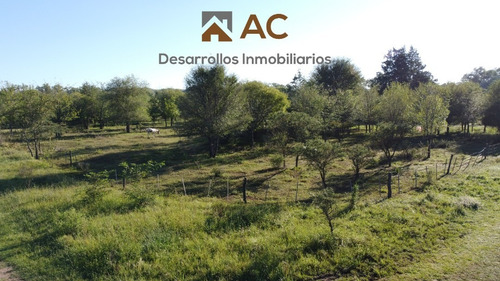 Imagen 5 de 12 de Terreno De 4310m2 Villa Ciudad De America