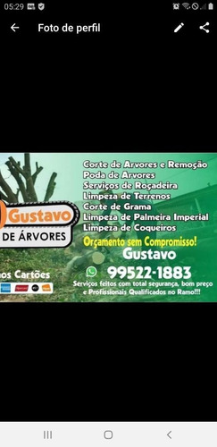 Imagem 4 de 5 de Gustavo Podas Trabalhamos Com Podas E Limpeza De Coqueiro