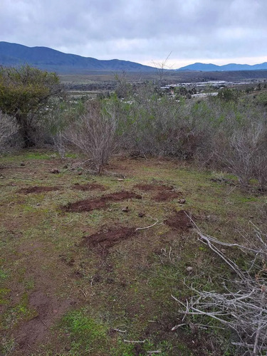 Terreno 3 Hectáreas El Trapiche La Ligua (85586)