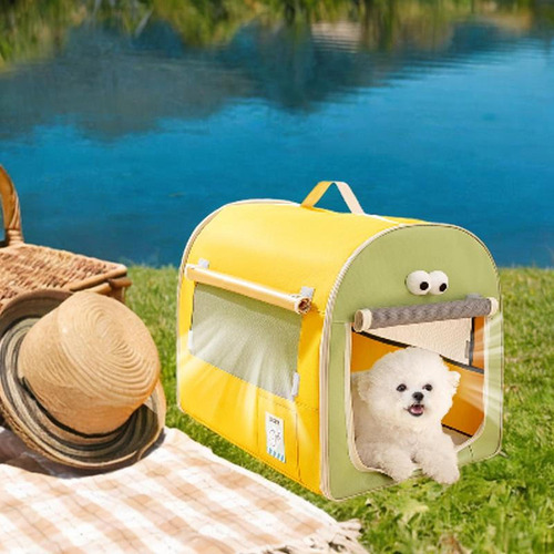 Cão Caixa De Carro Viagem Filhote De Amarelo E Verde