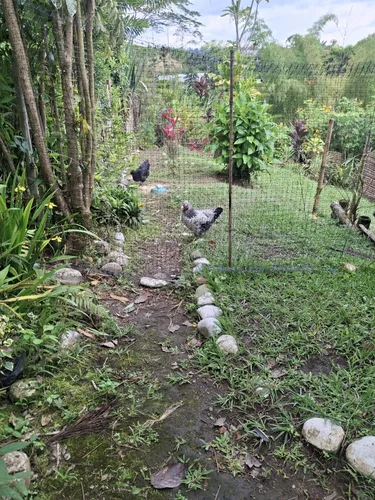 Pequeña Finca Bien Ubicada