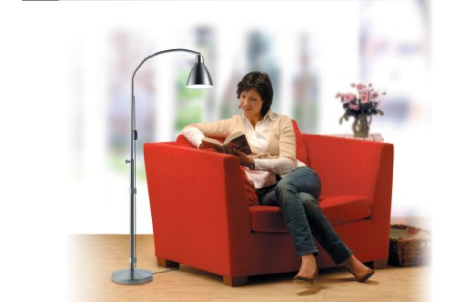 Daylight Flexi-vision Floor Lamp
