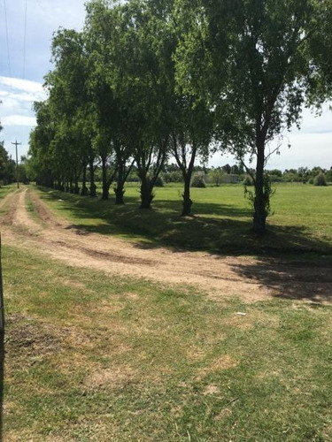 Imagen 12 de 14 de Terreno En Venta En Posadas De Los Lagos