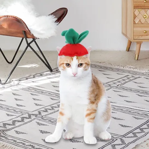 Perro Gato Sombrero Sombrero Traje Sombrero Hojas De Fresa