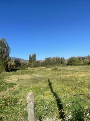 Parcela Agricola 5.000 M2 Las Quiscas Las Cabras