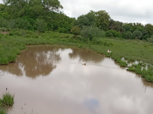 Campo Sobre Ruta
