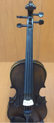 Violin Equipado Concierto