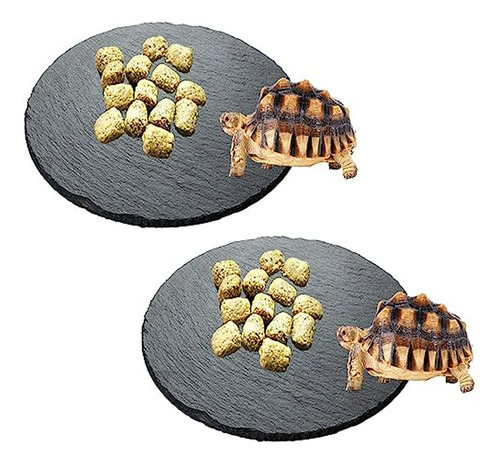 Plataforma Para Reptiles Con Plato De Alimentación - Terrari