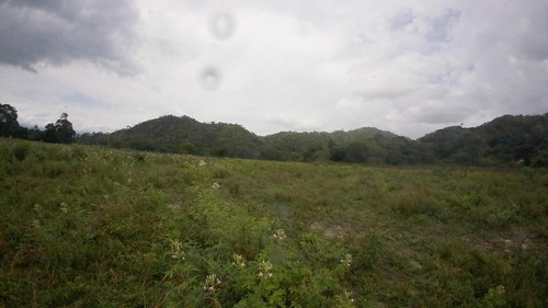 Imagen 23 de 30 de Finca En Venta San Felipe 1500 Ha, #23-14481