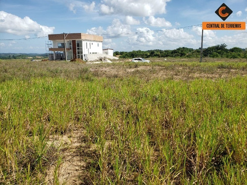 Imagem 23 de 30 de Lote No Condomínio Fazenda Real - Te00456 - 69550939