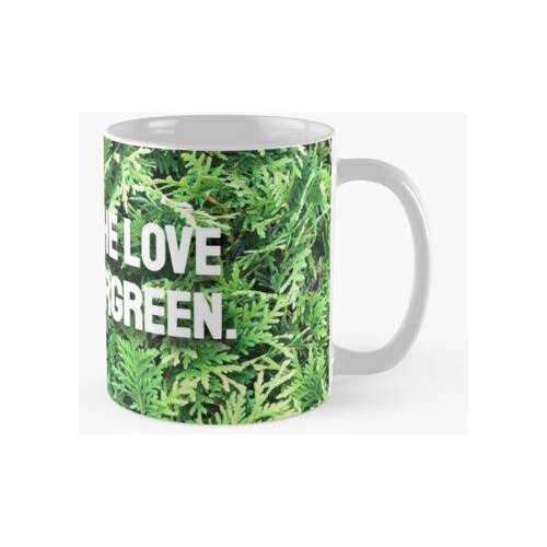 Taza Amor De Hoja Perenne Calidad Premium