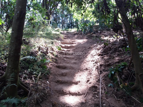 Imagem 10 de 28 de Chácara À Venda Em Chácaras Alpina - Ch009247