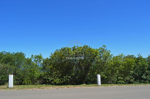 Imagen 6 de 14 de Terrenos-venta-cerro-san-antonio-te216