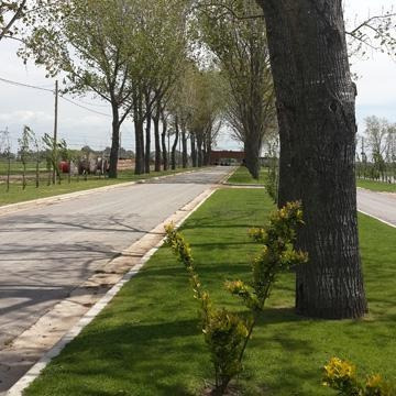 Terreno - Lagos De San Eliseo