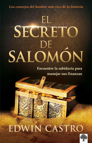 Libro El Secreto Salomón-edwin Castro