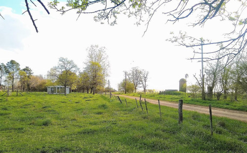 Imagen 4 de 24 de Venta Chacra 6 Ambientes Cañuelas