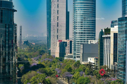 Departamento De Lujo En Renta Reforma Cdmx