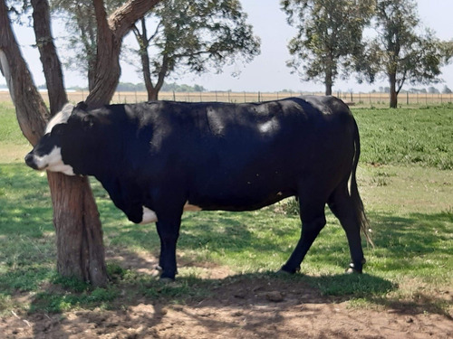 Imagen 8 de 30 de Campo En Córdoba (general Deheza)