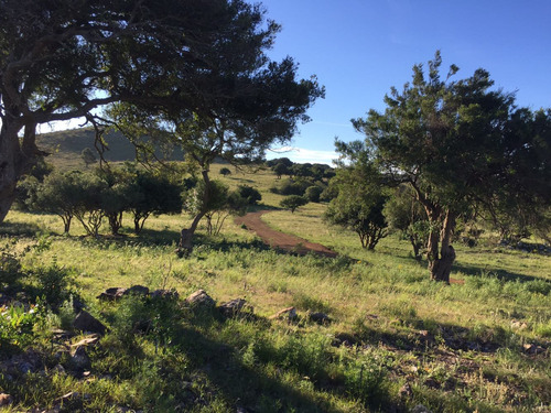 Imagen 10 de 22 de Chacra Campo Turistico 5ha Espectacular En Minas Uruguay