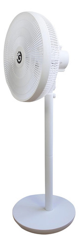 Ventilador Compacto Minimalista 60w Goldtech - Cs.