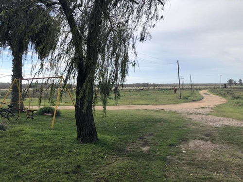 Quinta - Canelones