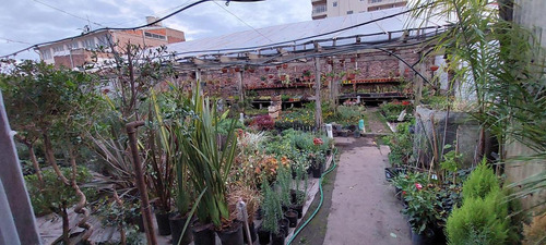 Imagen 3 de 7 de Terreno - Wilde