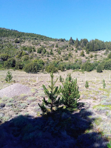Venta De Lote En Lolog, Junin De Los Andes, Neuquén