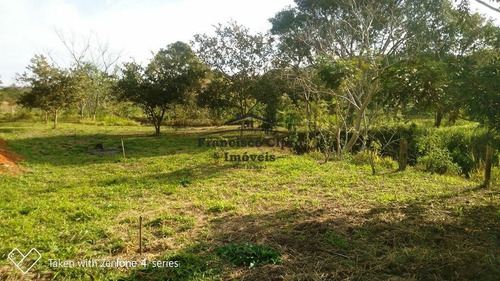 Imagem 10 de 12 de Chácara À Venda No Bairro Quilombinho - Cunha/sp - Ch086