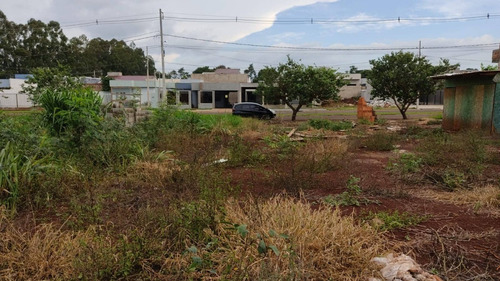 Imagem 2 de 2 de Terreno